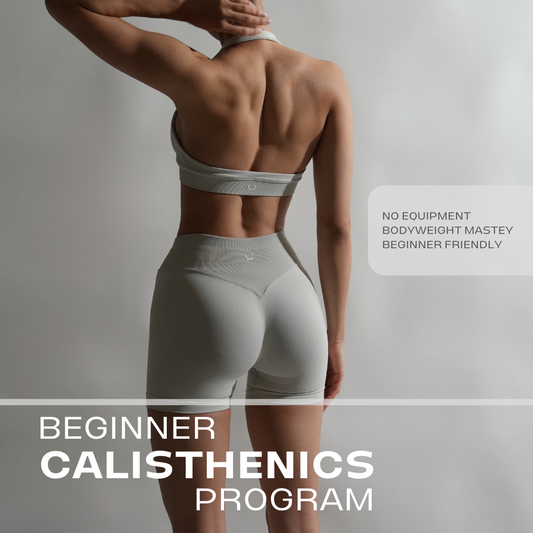 Complete Beginner Calisthenics Program Video Addition